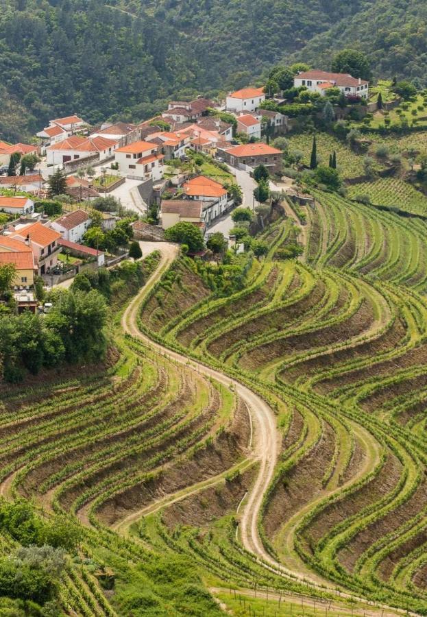 Soalheira Douro House Villa Vale de Mendiz Exterior photo
